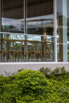 LotusPavilion_2023_00405.jpg