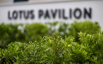 LotusPavilion_2023_00423.jpg