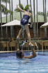 PHE_2018_01967.jpg