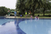 PHE_2018_02640.jpg