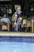 PHE_2018_01488.jpg