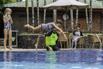 PHE_2018_01752.jpg