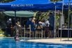 PHE_Oasis_2022_00120.jpg