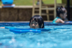 PHE_Oasis_2022_00142.jpg