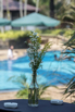 OassisCountryClub_2023_00015.jpg