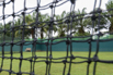 PHGE_2015_02293.jpg