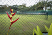 PHGE_2015_02295.jpg
