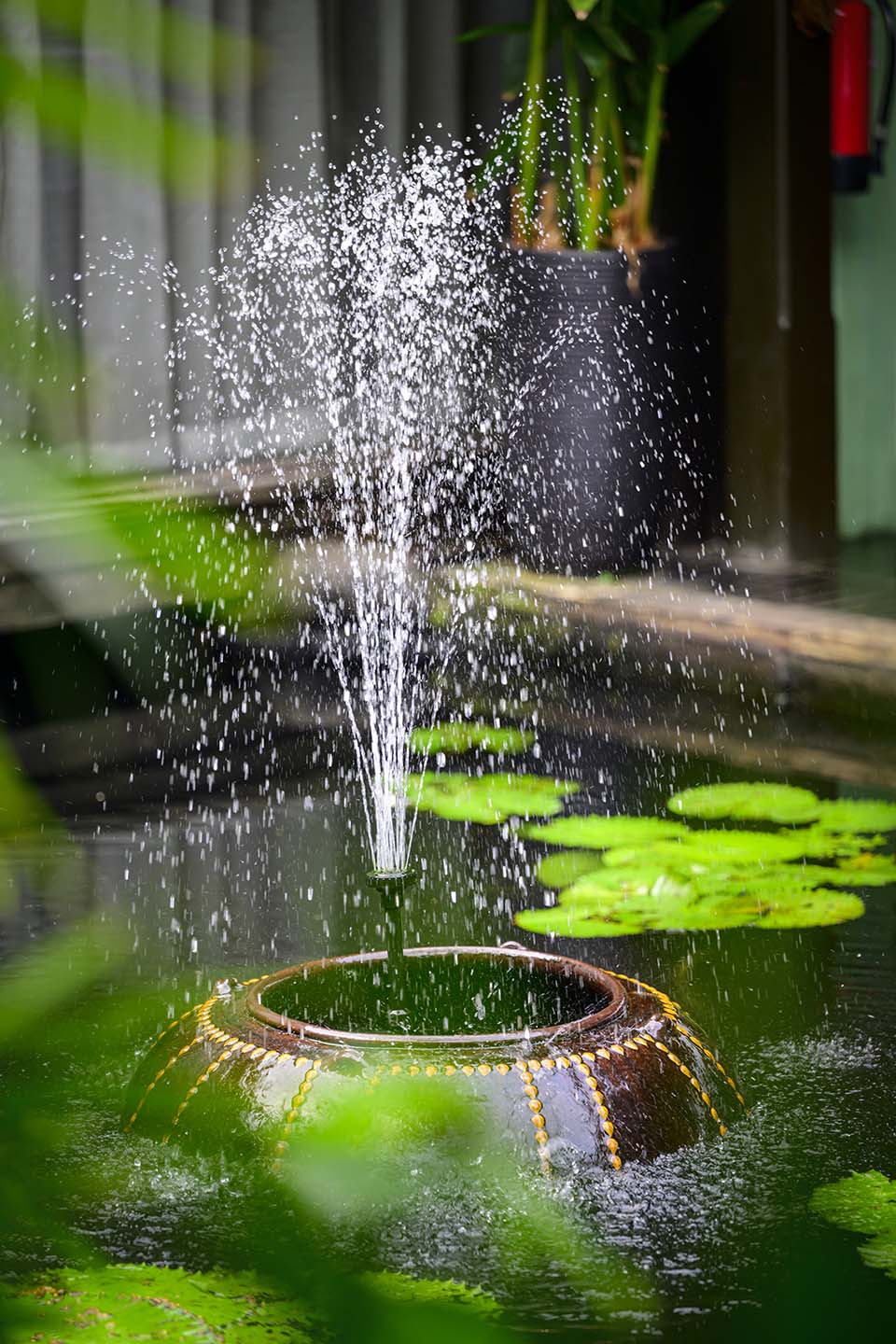 OasisSpa_2025_01059.jpg