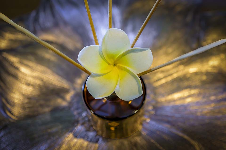 OasisSpa_2026_02068.jpg