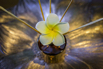 OasisSpa_2026_02068.jpg