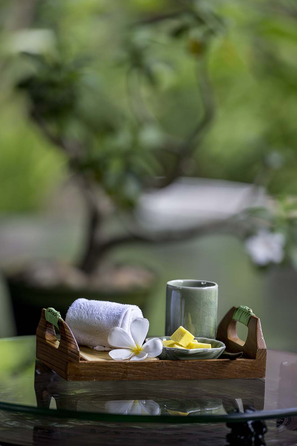 OasisSpa_2024_01115.jpg