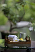 OasisSpa_2024_01115.jpg