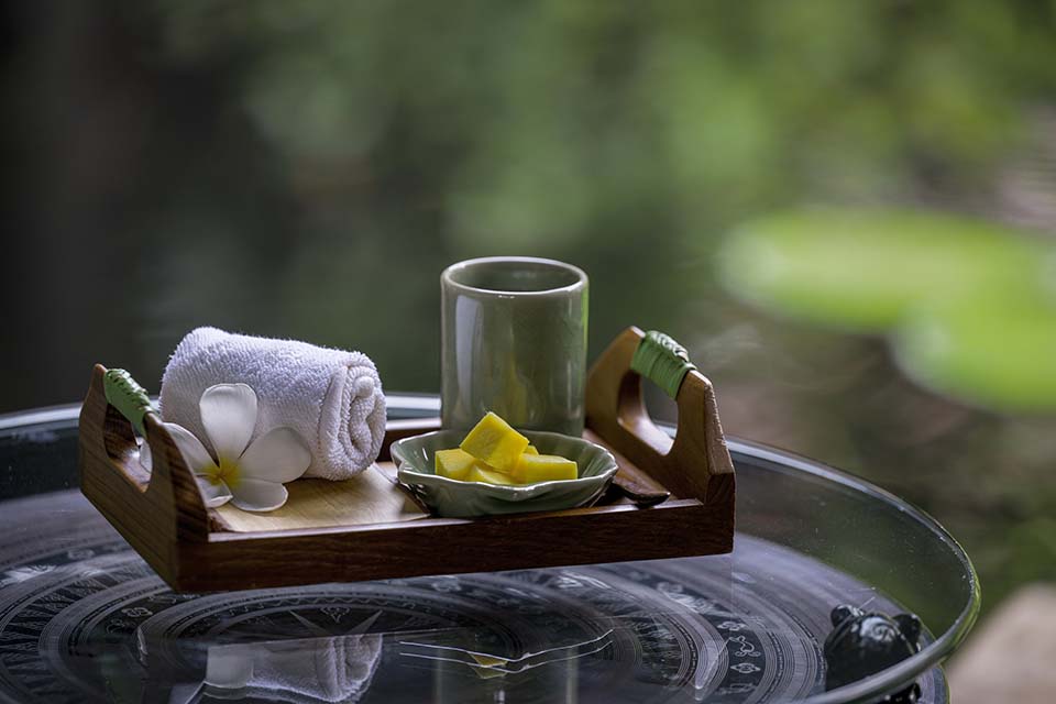 OasisSpa_2024_01137.jpg