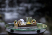 OasisSpa_2024_01155.jpg