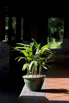 PHGE_2015_01860.jpg