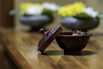 PHGE_2017_08162.jpg