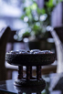 PHGE_2017_08379.jpg