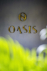 OasisSpa_2023_00513.jpg