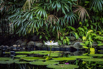 OasisSpa_2023_00526.jpg