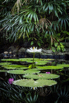 OasisSpa_2023_00528.jpg