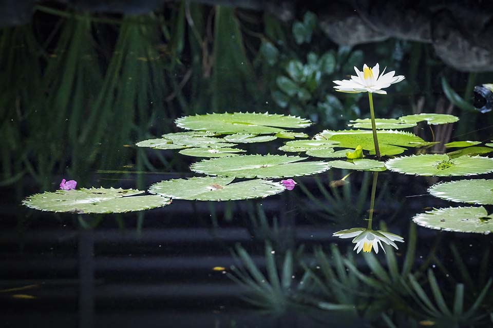 OasisSpa_2023_00535.jpg