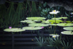 OasisSpa_2023_00535.jpg