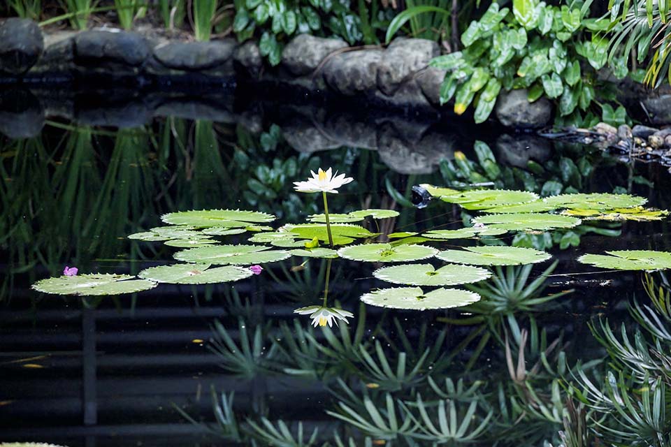OasisSpa_2023_00537.jpg