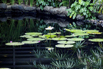 OasisSpa_2023_00537.jpg