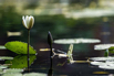 OasisSpa_2023_00539.jpg
