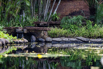 OasisSpa_2023_00542.jpg