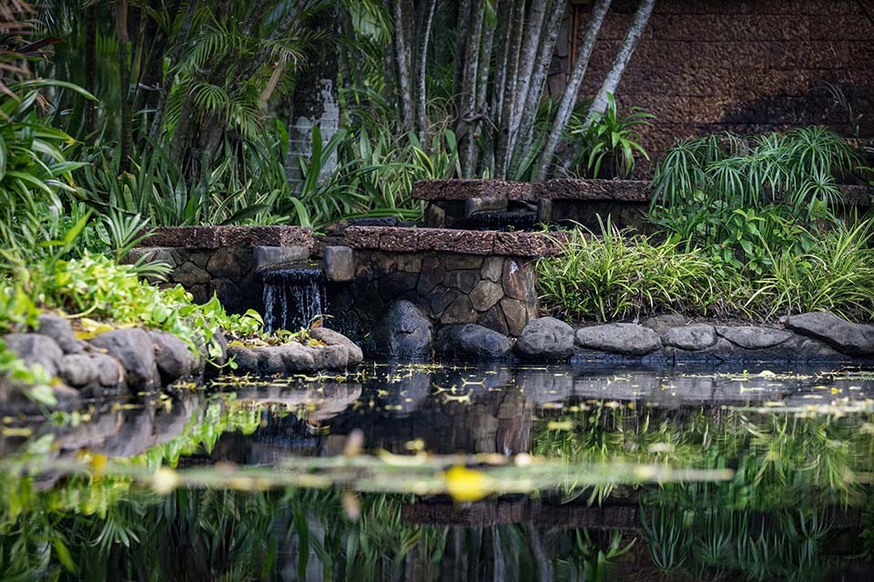 OasisSpa_2023_00546.jpg