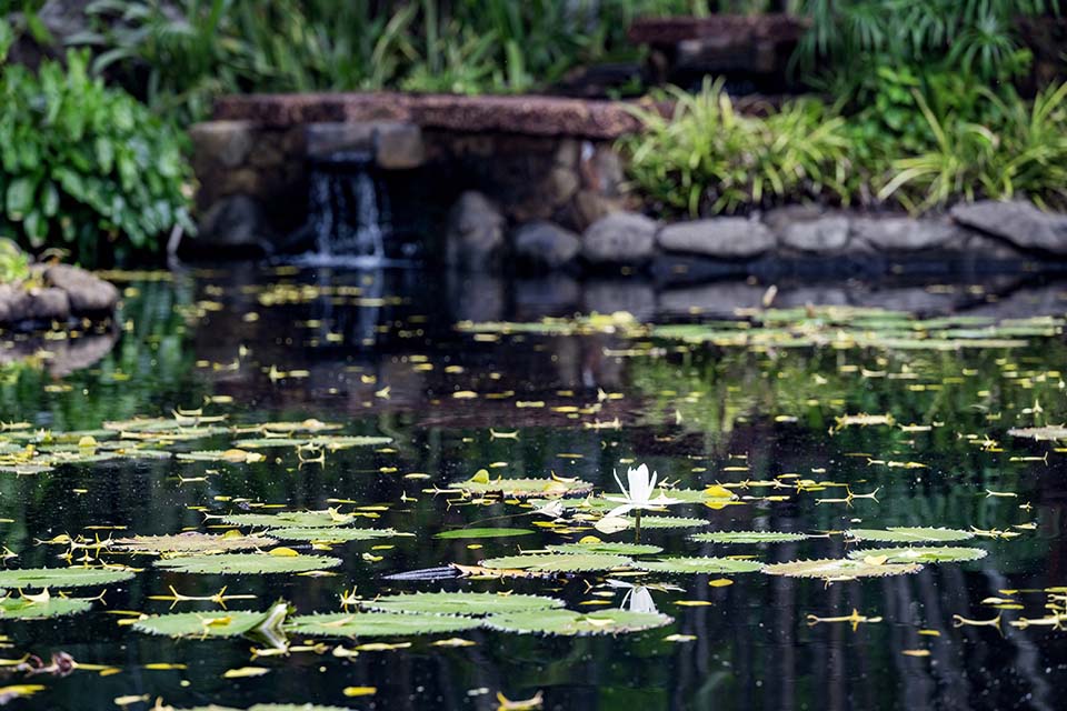 OasisSpa_2023_00547.jpg