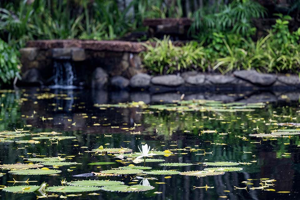 OasisSpa_2023_00550.jpg