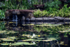 OasisSpa_2023_00550.jpg