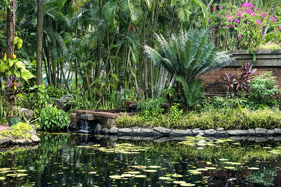 OasisSpa_2023_00567.jpg