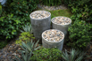OasisSpa_2023_00569.jpg