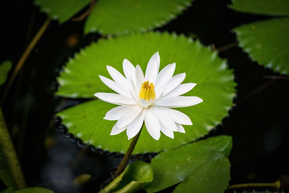 OasisSpa_2023_00586.jpg