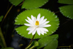 OasisSpa_2023_00586.jpg