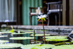 OasisSpa_2023_00235.jpg