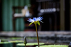 OasisSpa_2023_00241.jpg