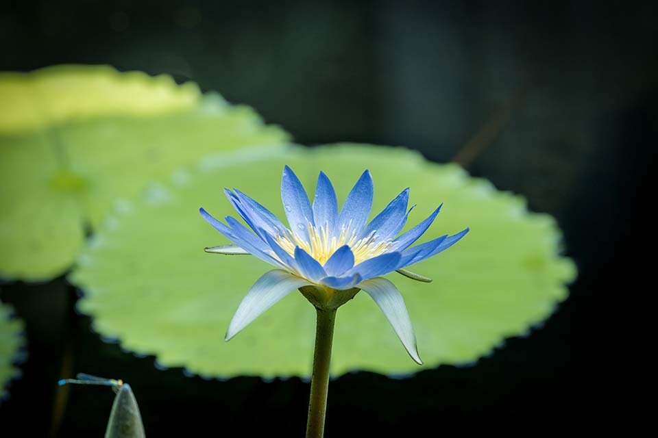 OasisSpa_2023_00250.jpg