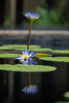 OasisSpa_2023_00271.jpg