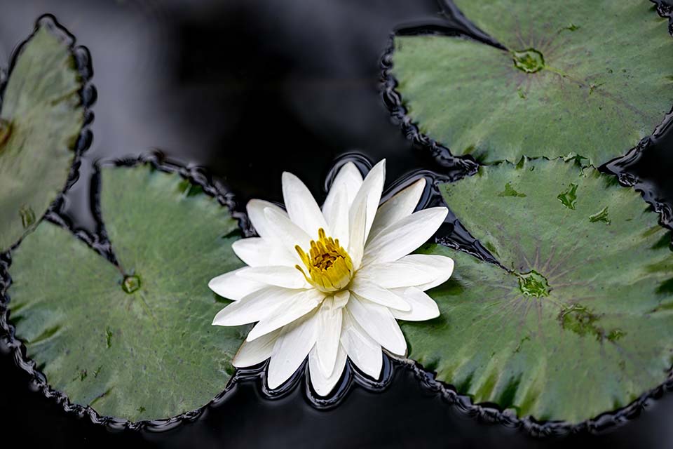 OasisSpa_2023_00280.jpg