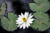 OasisSpa_2023_00280.jpg