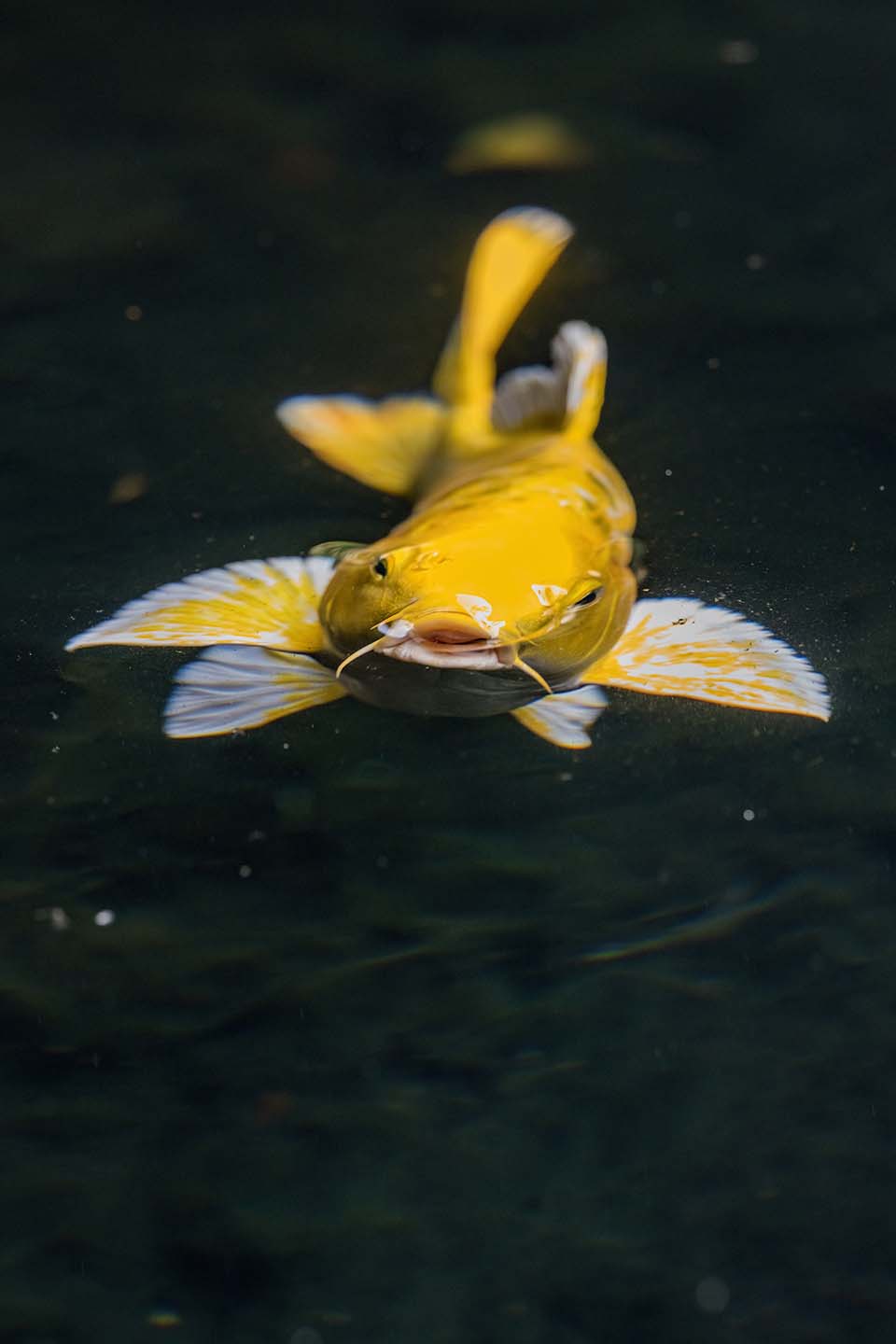 OasisSpa_2023_00289.jpg