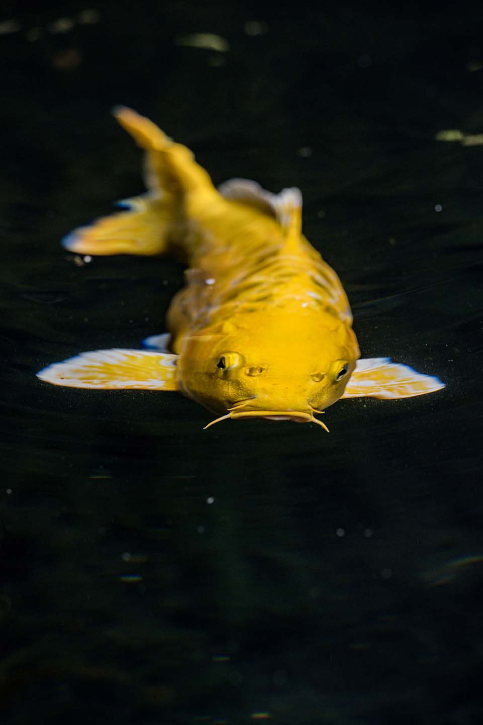 OasisSpa_2023_00293.jpg