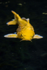 OasisSpa_2023_00293.jpg