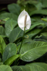 OasisSpa_2023_00300.jpg
