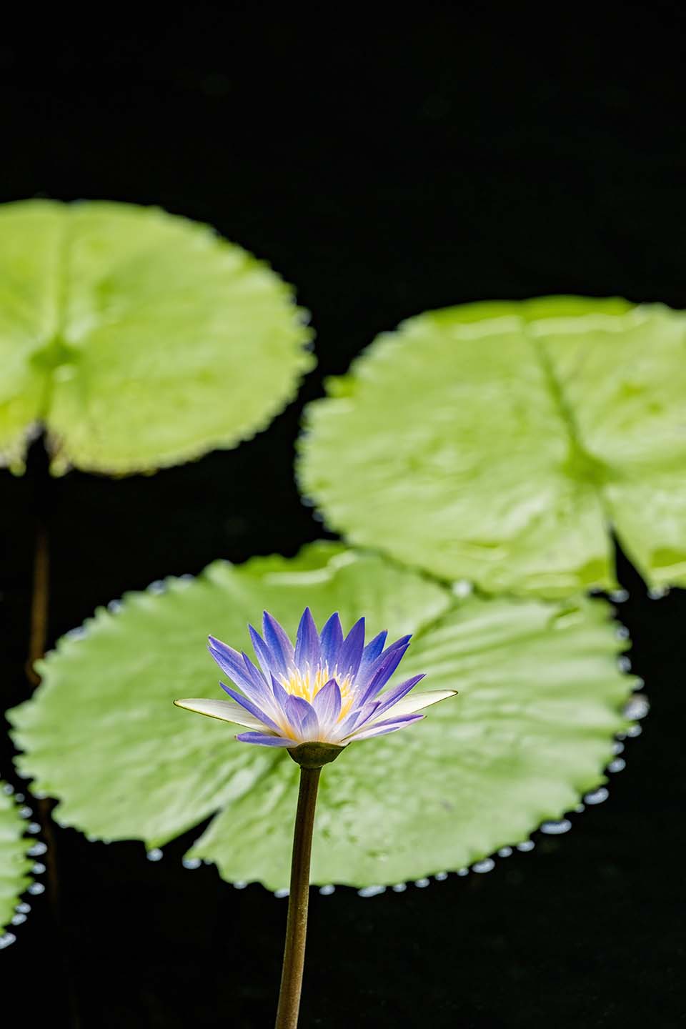 OasisSpa_2023_00306.jpg
