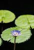 OasisSpa_2023_00306.jpg